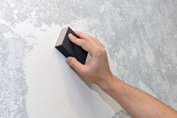 Best Dehumidification Services  in Springfield, SD