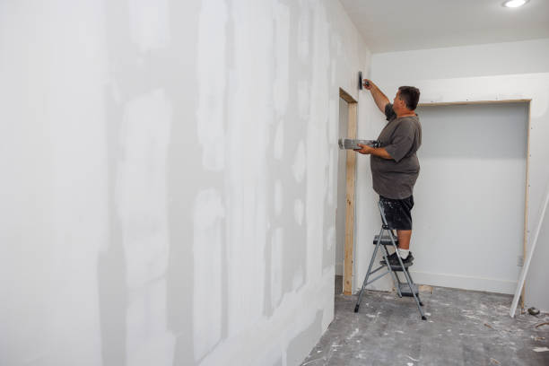 Best Mold Remediation for Rental Properties  in Springfield, SD