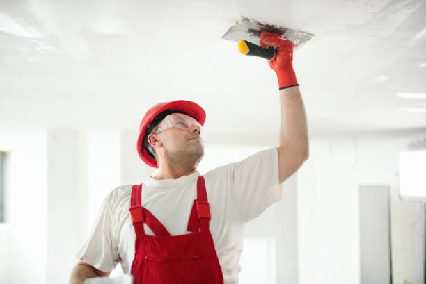 Best Post-Construction Mold Inspection  in Springfield, SD