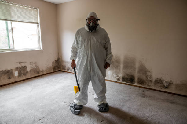 Best HVAC Mold Inspection and Cleaning  in Springfield, SD