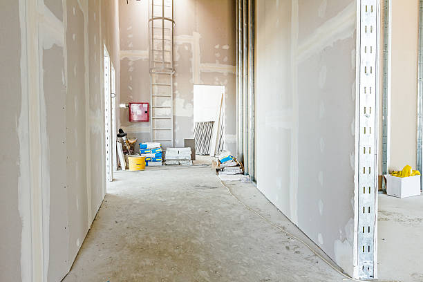 Best Comprehensive Air Testing for Mold Contaminants  in Springfield, SD